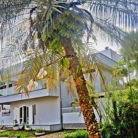Casa Mani Acomodação com café da manhã Ubatuba Exterior foto